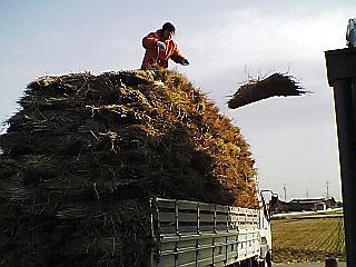 060314_0834.jpg