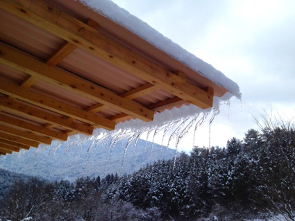 2012012701.jpg
