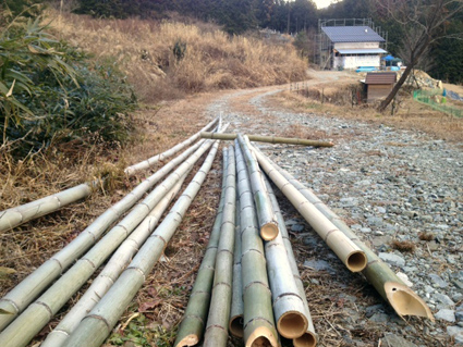 2012012703.jpg