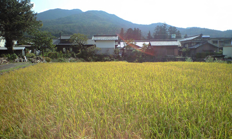 CA3A0053.jpg