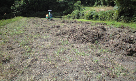 CA3A0055.jpg