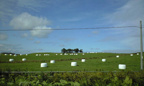 CA3A0110.jpg