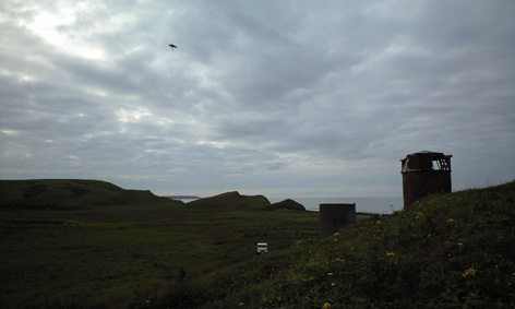 CA3A0126.jpg