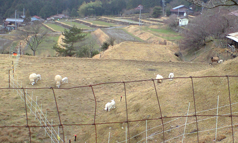 CA3A0211.jpg