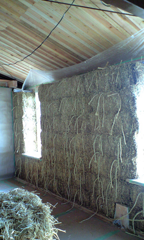 CA3A0308.jpg