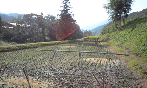 CA3A0335.jpg