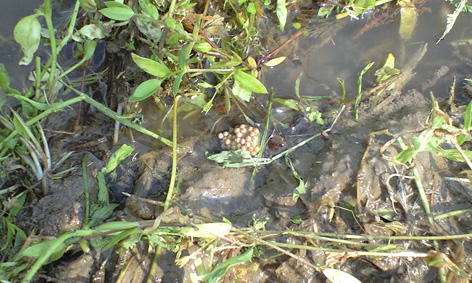 CA3A0345.jpg