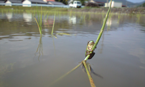 CA3A0362.jpg
