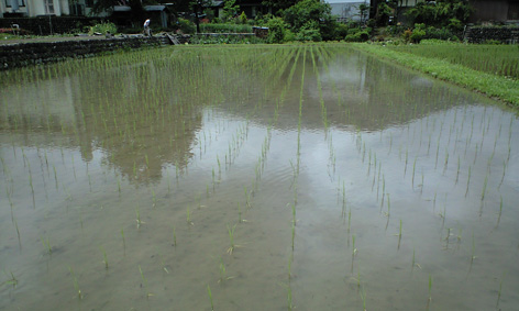 CA3A0364.jpg