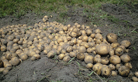 CA3A0388.jpg