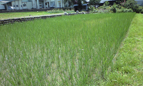 CA3A0396.jpg