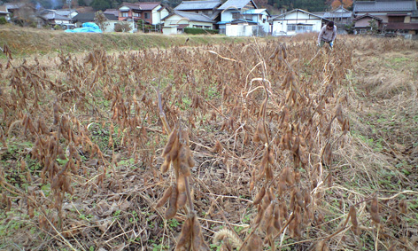 CA3A0436.jpg