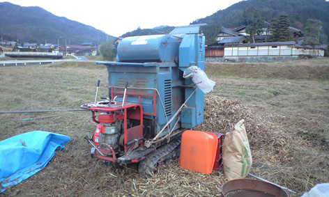 CA3A0450.jpg
