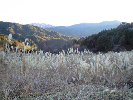 CA3A0466.jpg