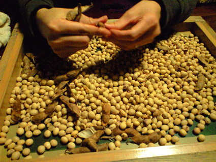 CA3A0495.jpg
