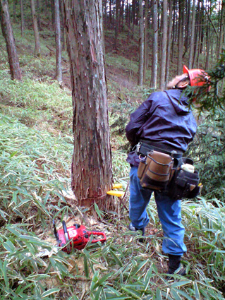 CA3A0526.jpg