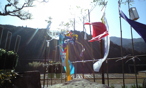 CA3A0619.jpg