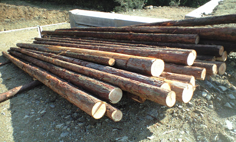CA3A0630.jpg