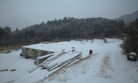 CA3A0669.jpg