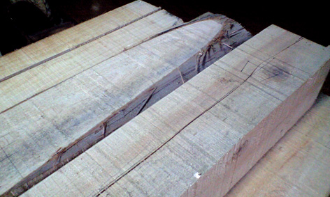 CA3A0671.jpg