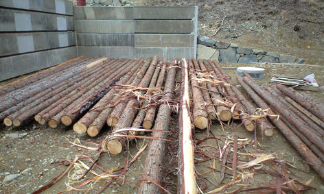 CA3A0709.jpg