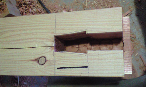 CA3A0753.jpg