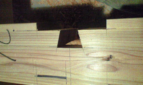 CA3A0770.jpg
