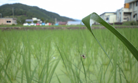 CA3A0835.jpg