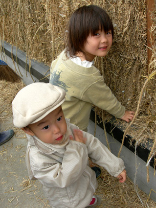 DSCN3159.jpg