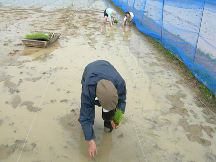 DSCN3614.jpg
