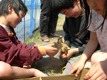 DSCN3639.jpg