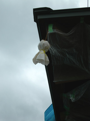 DSCN4015.jpg