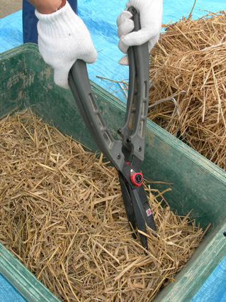 DSCN4043.jpg