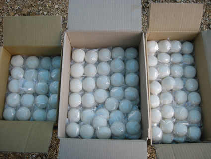 DSCN4573.jpg