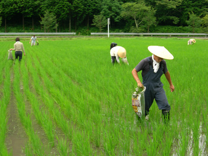 DSCN4619.jpg