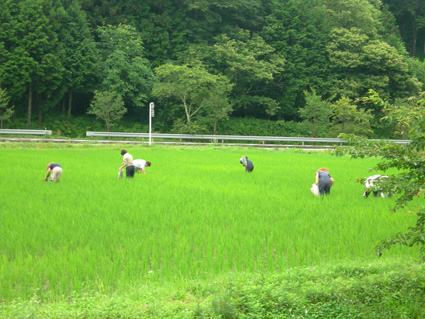 DSCN4623.jpg