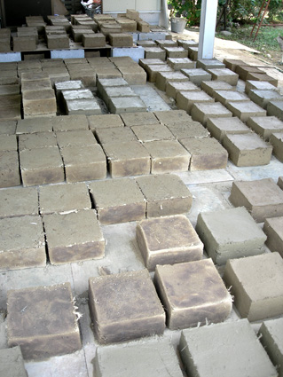 DSCN4984.jpg
