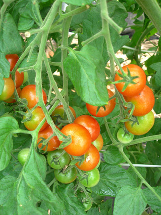 DSCN5114.jpg