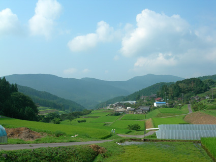 DSCN5126.jpg