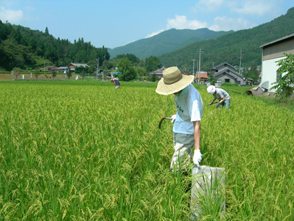 DSCN5140.jpg