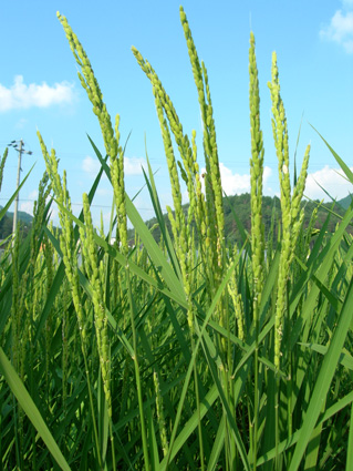 DSCN5224.jpg