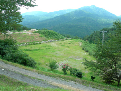 DSCN5291.jpg