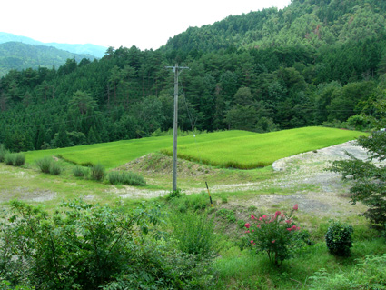 DSCN5293.jpg
