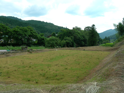 DSCN5297.jpg