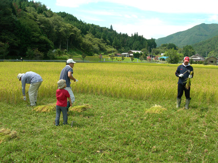 DSCN5372.jpg