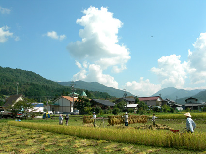 DSCN5433.jpg