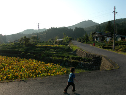 DSCN5870.jpg