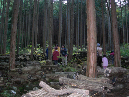 DSCN6069.jpg