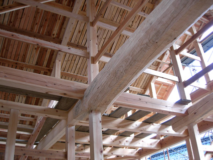 DSCN6163.jpg