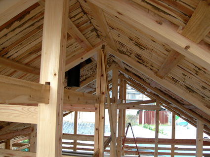 DSCN6169.jpg